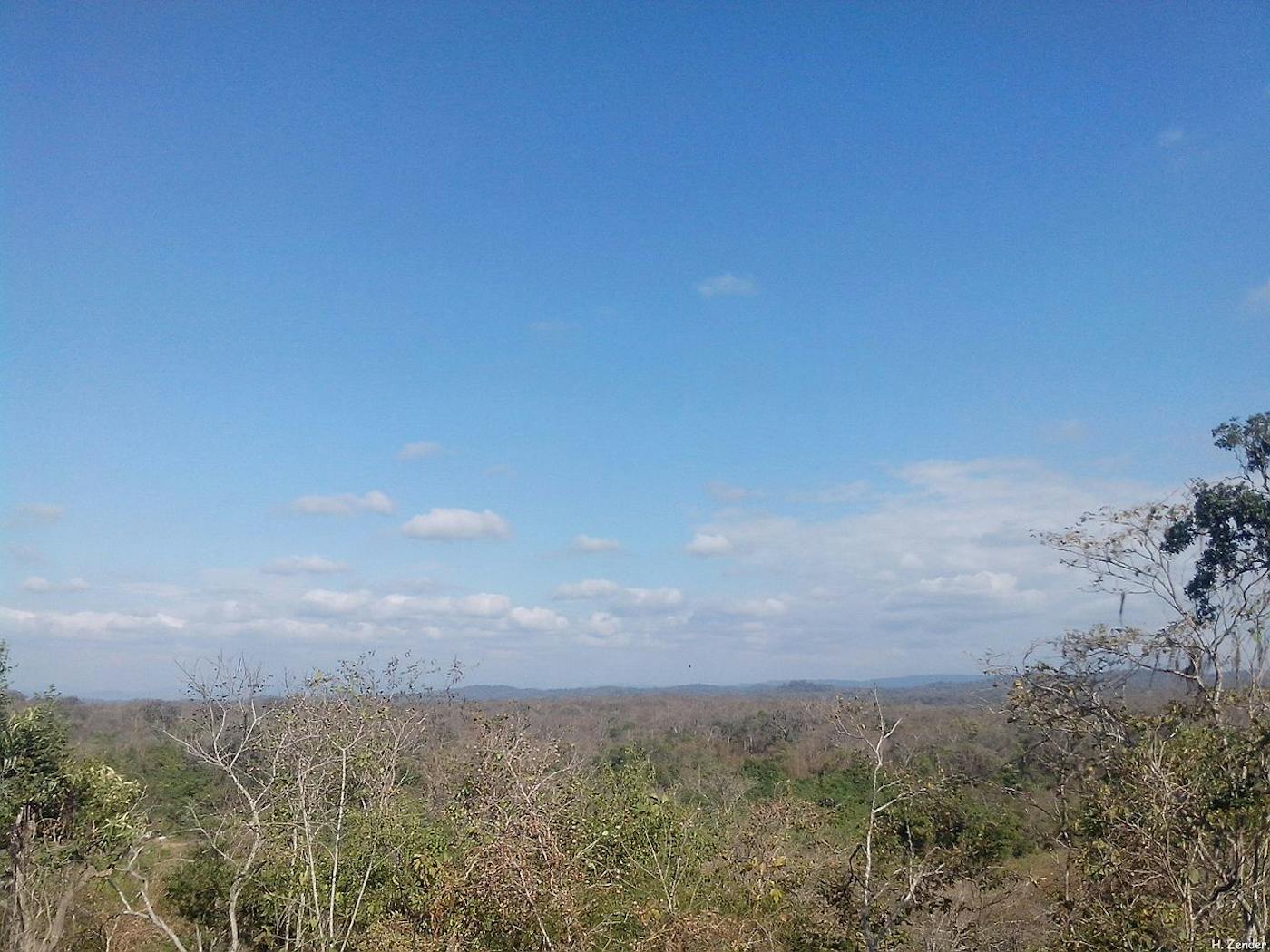 Ecuadorean Dry Coastal Forests & Flooded Grasslands (NT10)
